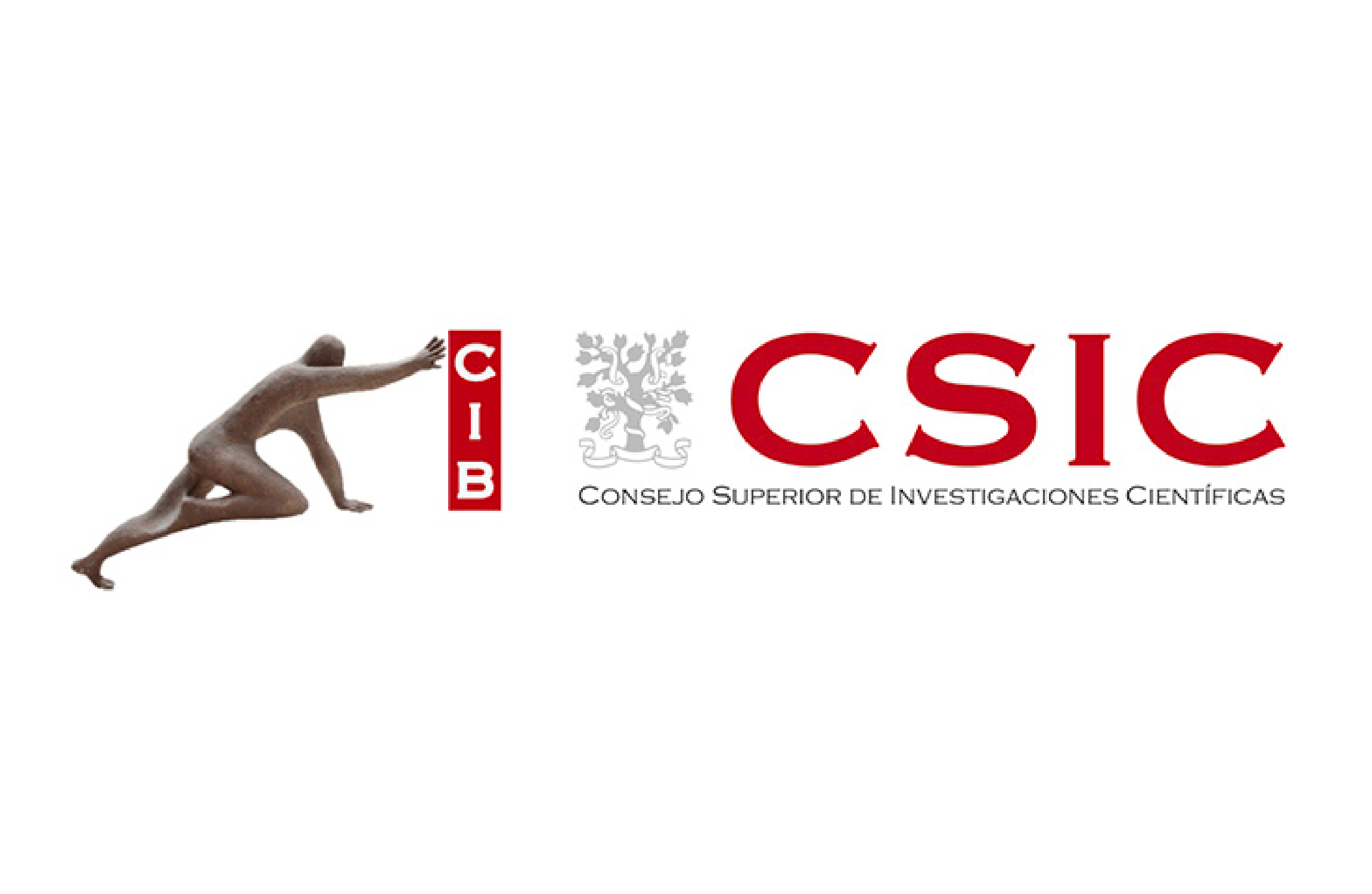 logotipos CIB CSIC