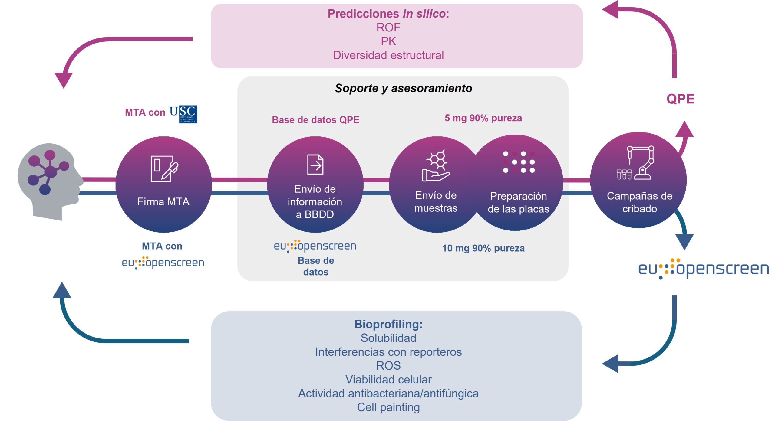 Esquema quimioteca